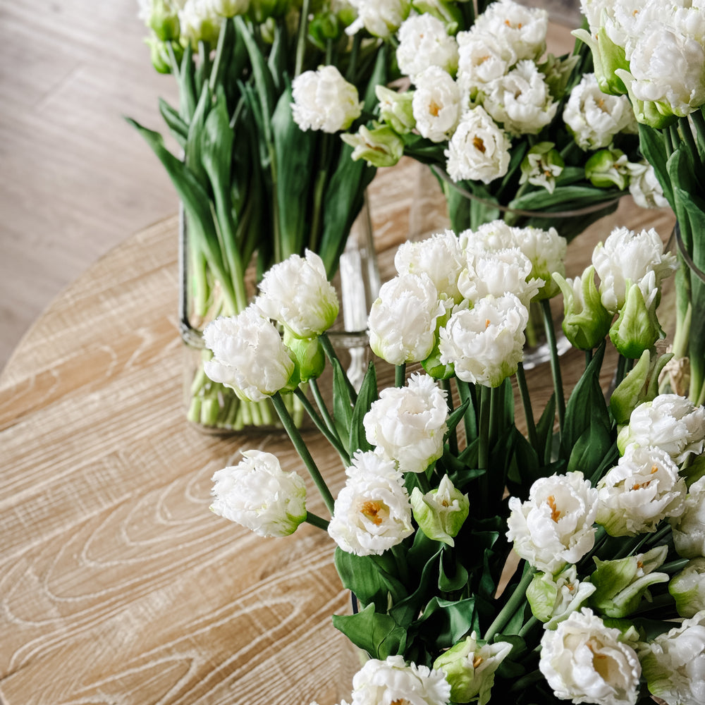 White tulips bunch.