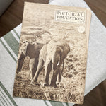 1935 Pictorial Education Elephant