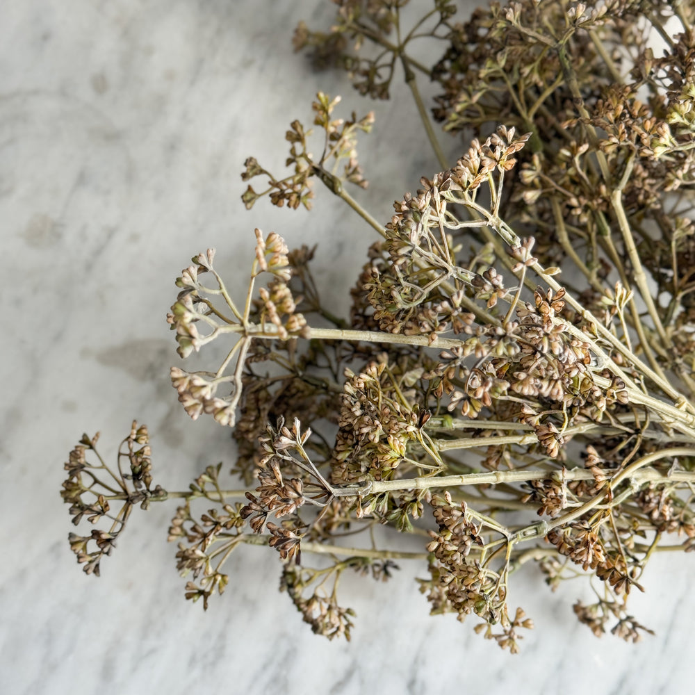 Faux Brown Meadow Grass Stems.