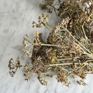 Faux Brown Meadow Grass Stems.