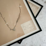 Vintage french 1900's herbarium.