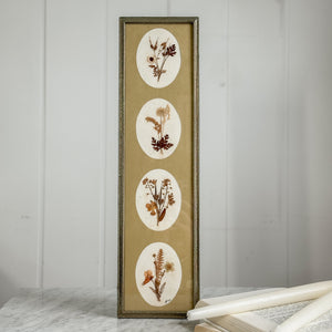 Vintage Pressed Botanical.