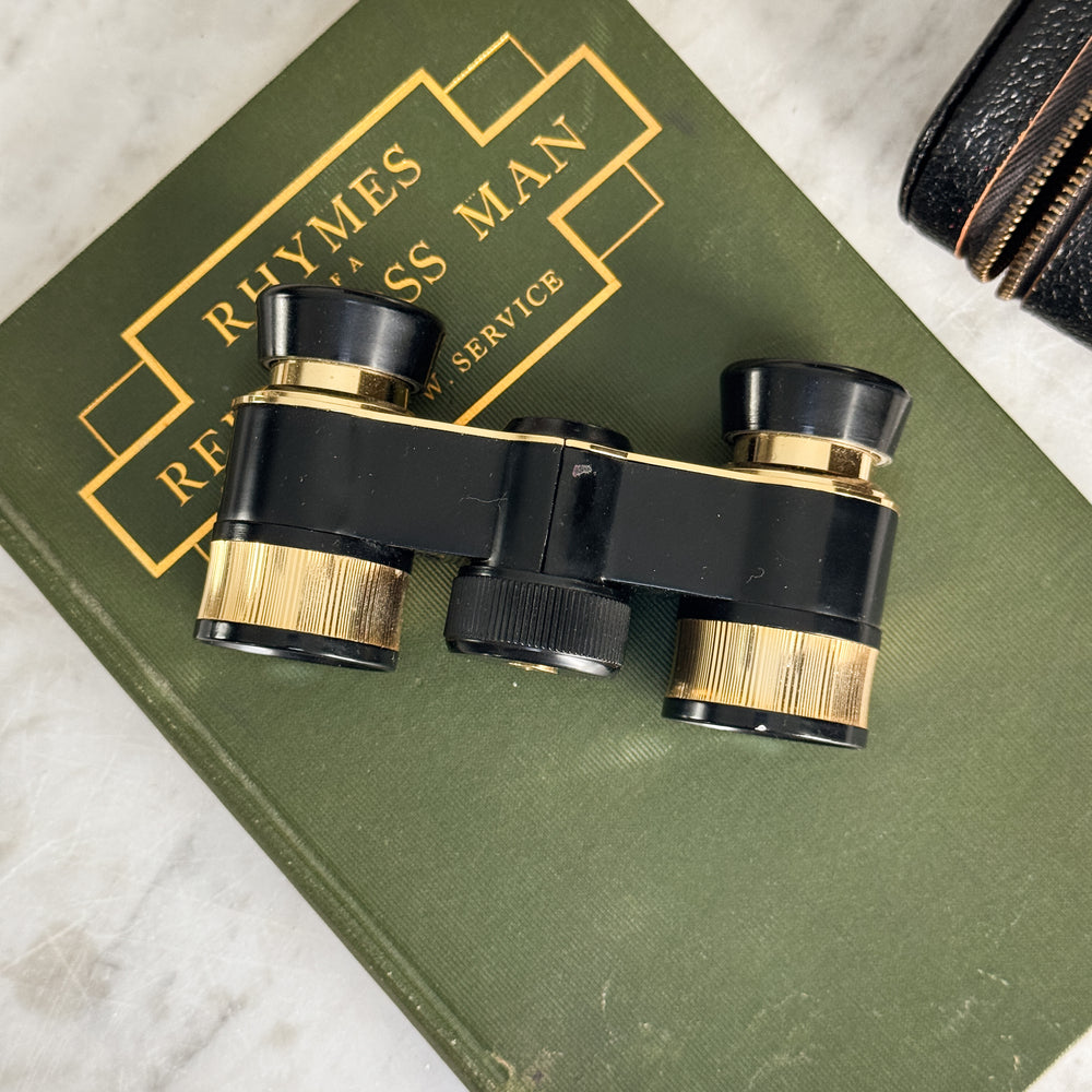 Vintage Opera Glasses in Case.