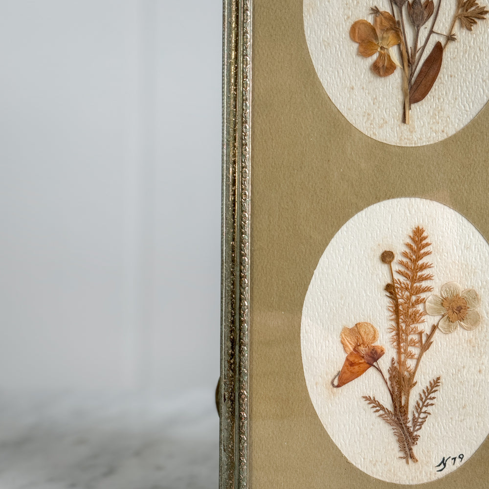 Vintage Pressed Botanical.