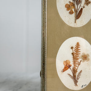 Vintage Pressed Botanical.