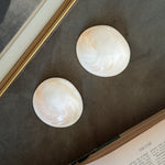Vintage flat white polished shells