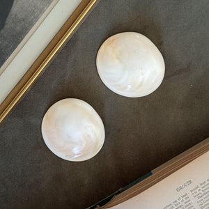 Vintage flat white polished shells