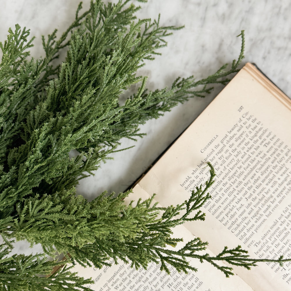 Juniper Pine Bundle Stems.