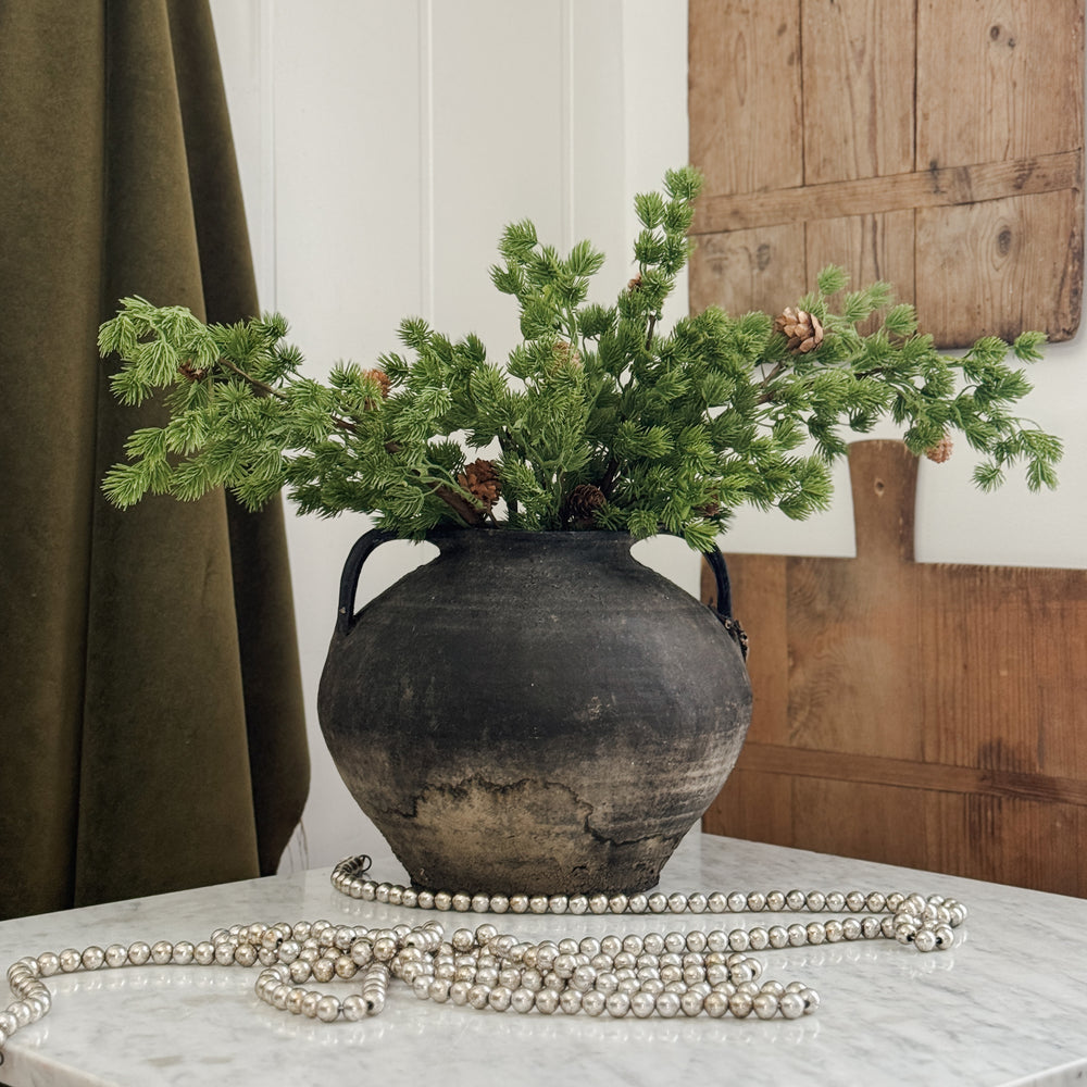 Frasier Fir stem w/ pinecones