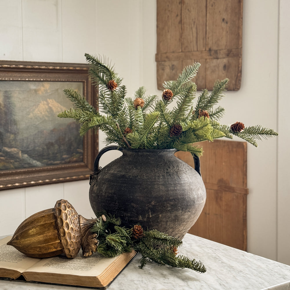 Balsam Fir Stem with pinecones.