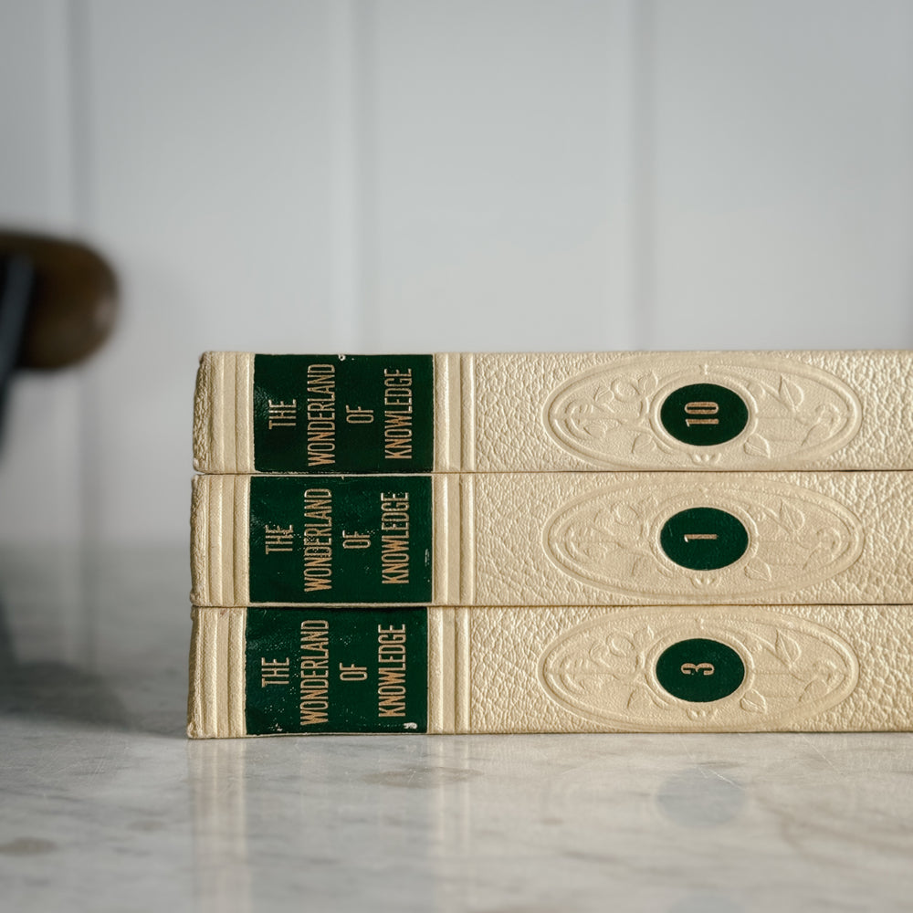 The Wonderland of Knowledge vintage book