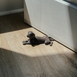 Cast iron dog door stop