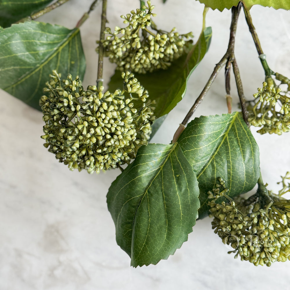Green Viburnum Stem