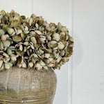 Brown faux Hydrangea