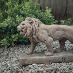 Aged brown Concrete Lion Statue.