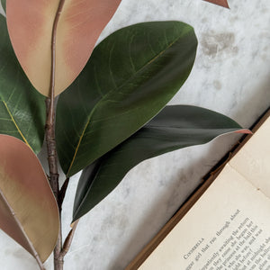 Magnolia Faux Stem.