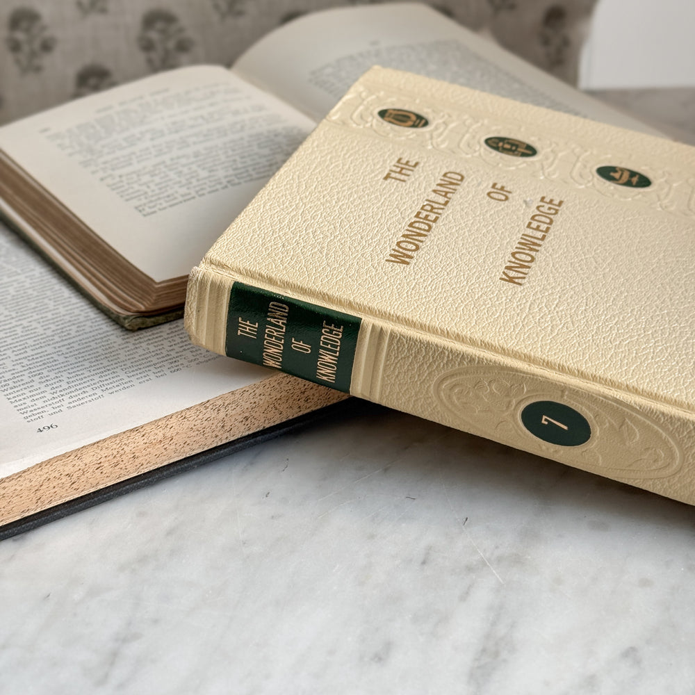 The Wonderland of Knowledge vintage book