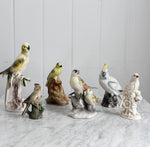 Vintage Porcelain Painted Birds