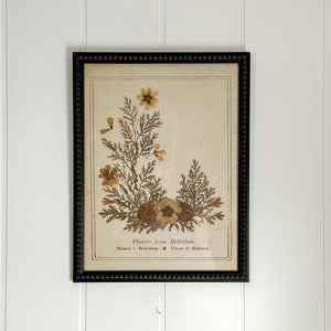 Botanical Framed Art- Flowers from Bethlehem.