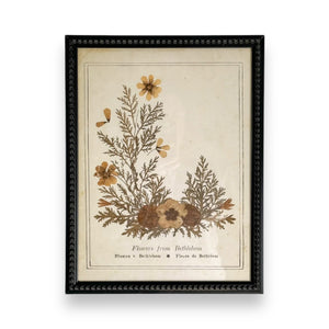 Botanical Framed Art- Flowers from Bethlehem.