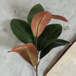 Magnolia Faux Stem.