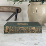 Antique Gold A History of British Butterflies Book