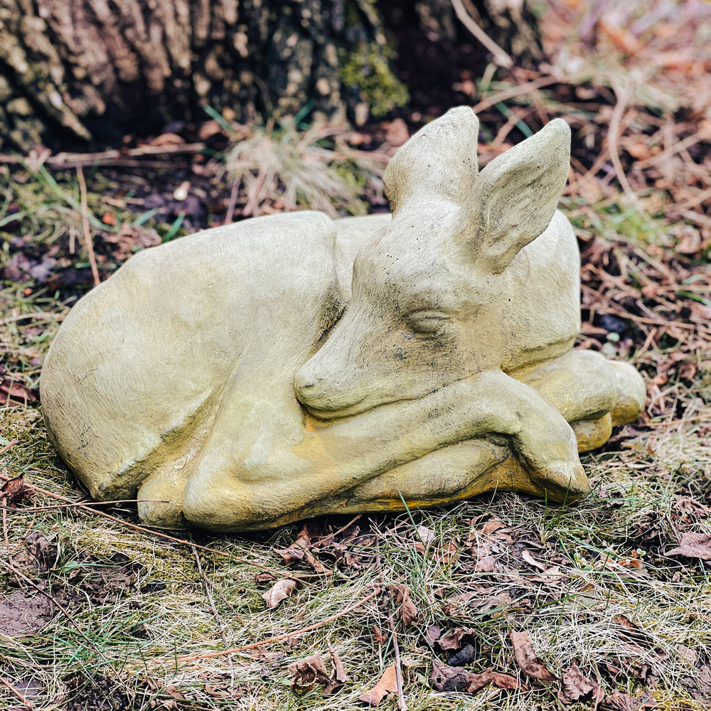 
                
                    Load image into Gallery viewer, Sleeping fawn
                
            