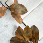 Faux Brown Autumn Magnolia Stem