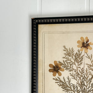 Botanical Framed Art- Flowers from Tiberiade.