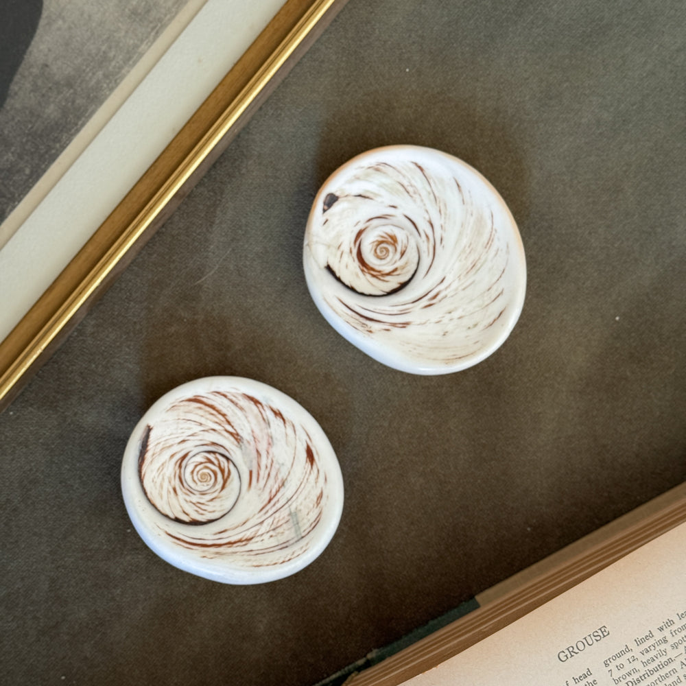 Vintage flat white polished shells