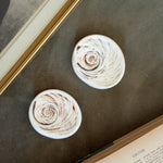 Vintage flat white polished shells