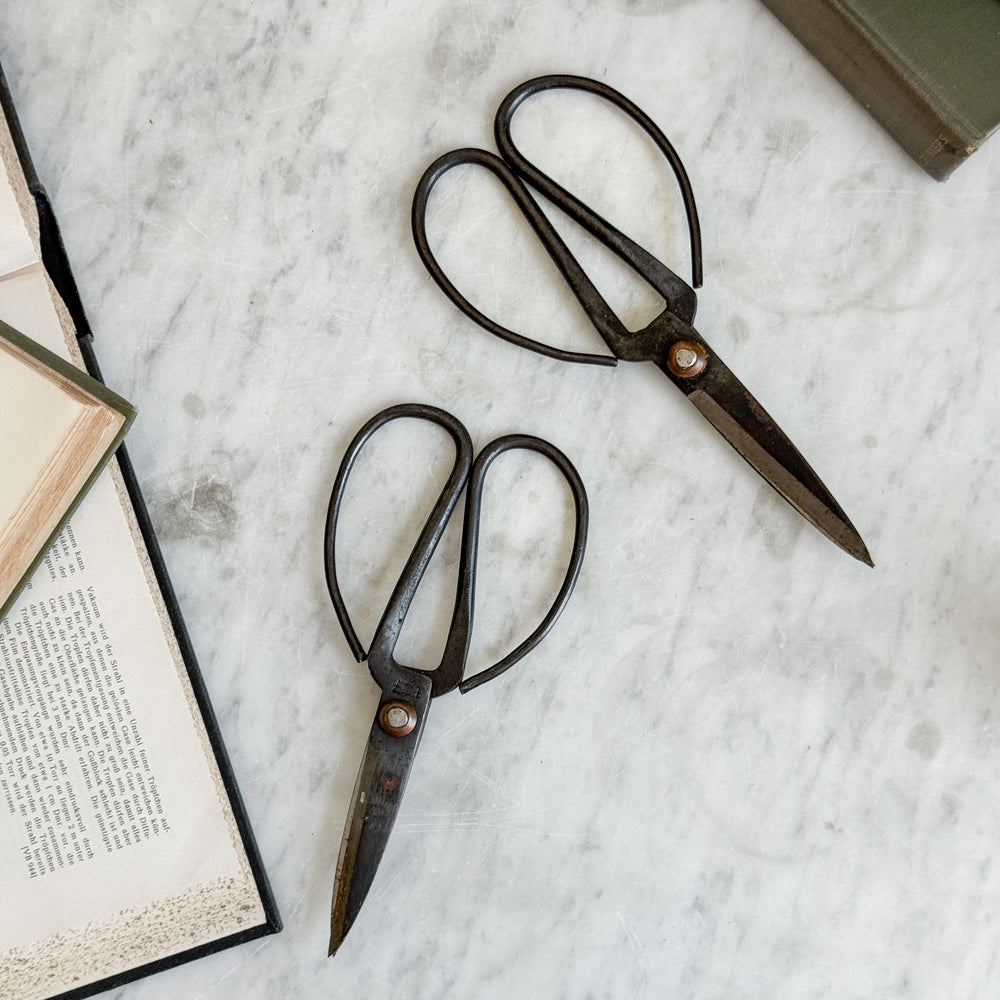Vintage Garden Scissors