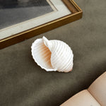 Vintage white spiral shell