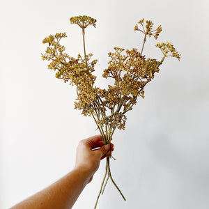 
                
                    Load image into Gallery viewer, Yarrow Stem.
                
            