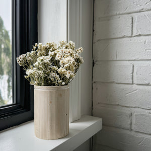 Dried White Aster Bundle