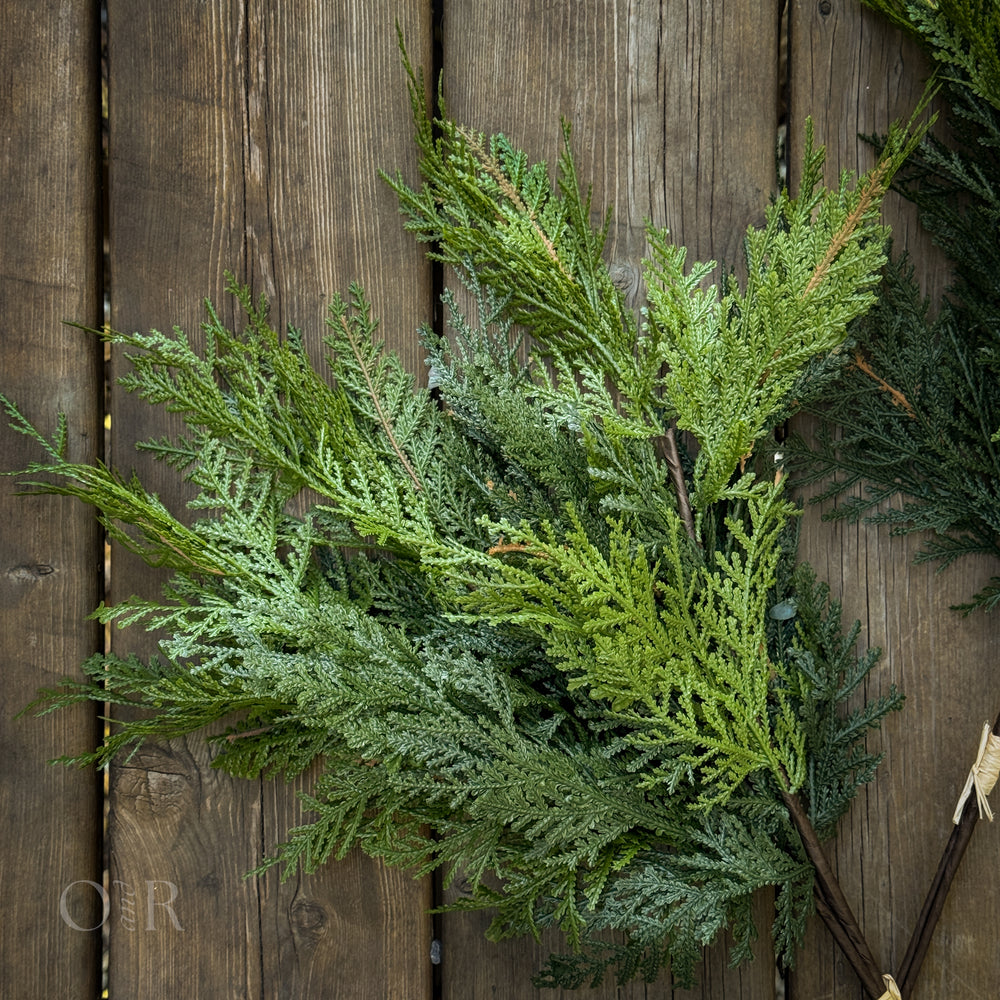 White Cedar Stem Bundle.