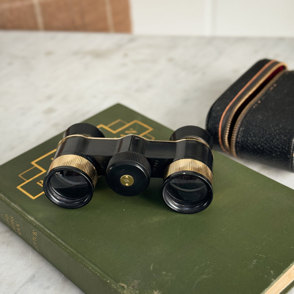 Vintage Opera Glasses in Case.