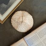 Vintage flat white large coral shell