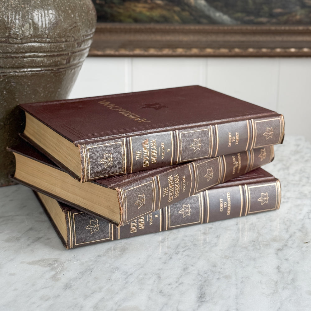 Vintage Ameri Cana Encyclopedia Book