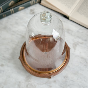 Vintage Glass Cloche with Wooden Stand