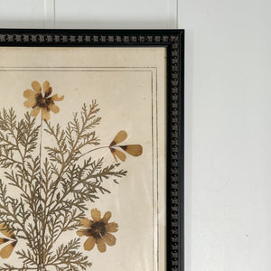 Botanical Framed Art- Flowers from Tiberiade.