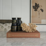 Vintage Sculpture of Auguste Rodin book