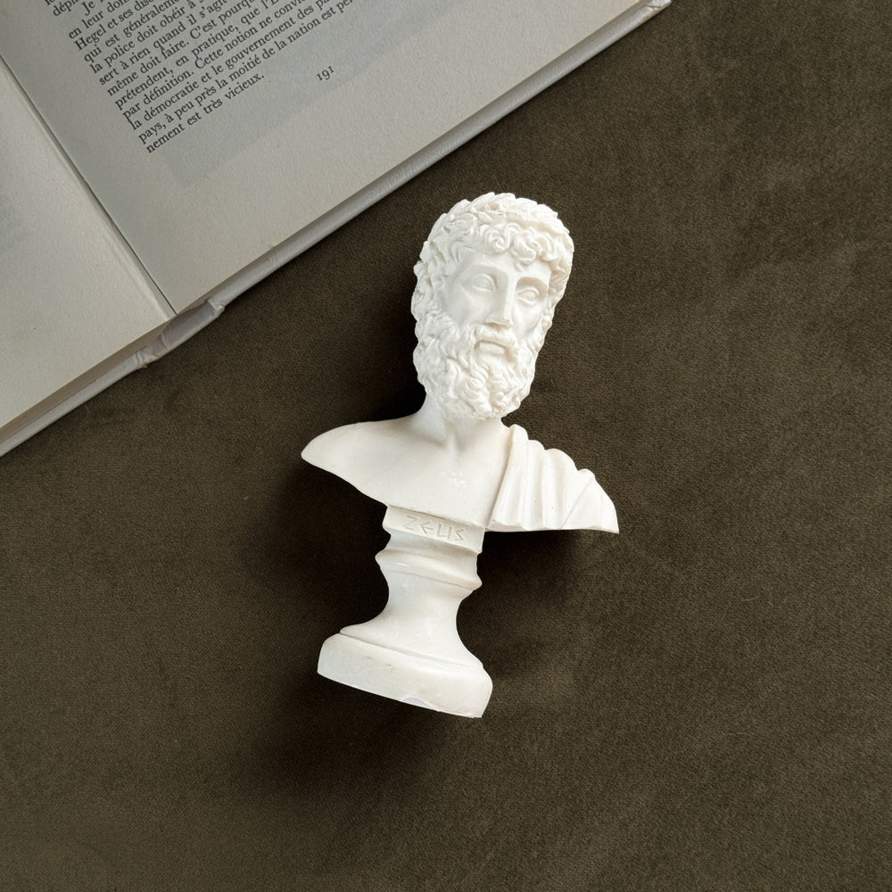 Vintage Zeus Greek Bust