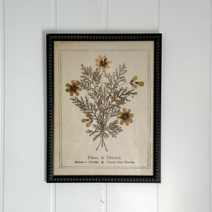 Botanical Framed Art- Flowers from Tiberiade.