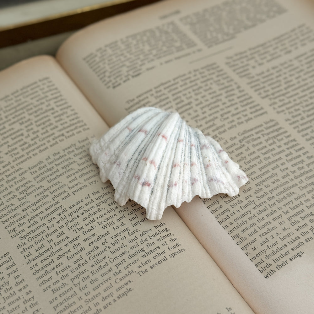 Vintage white clam shell small