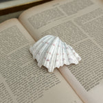 Vintage white clam shell small