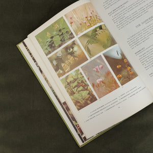 Vintage American wildflower Book