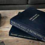 Vintage Picasso Book Pair