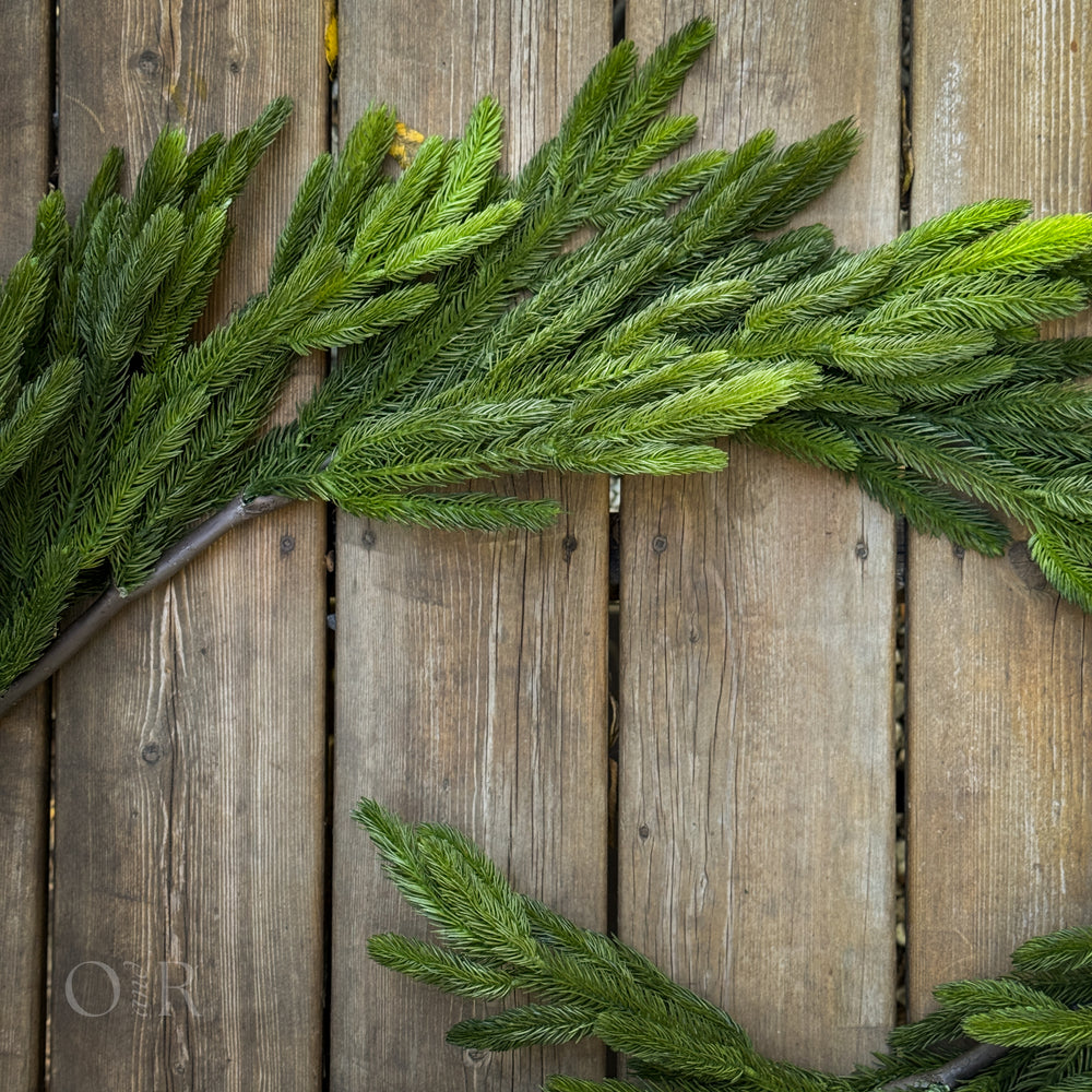 Spruce Garland.