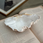 Vintage large clam shell